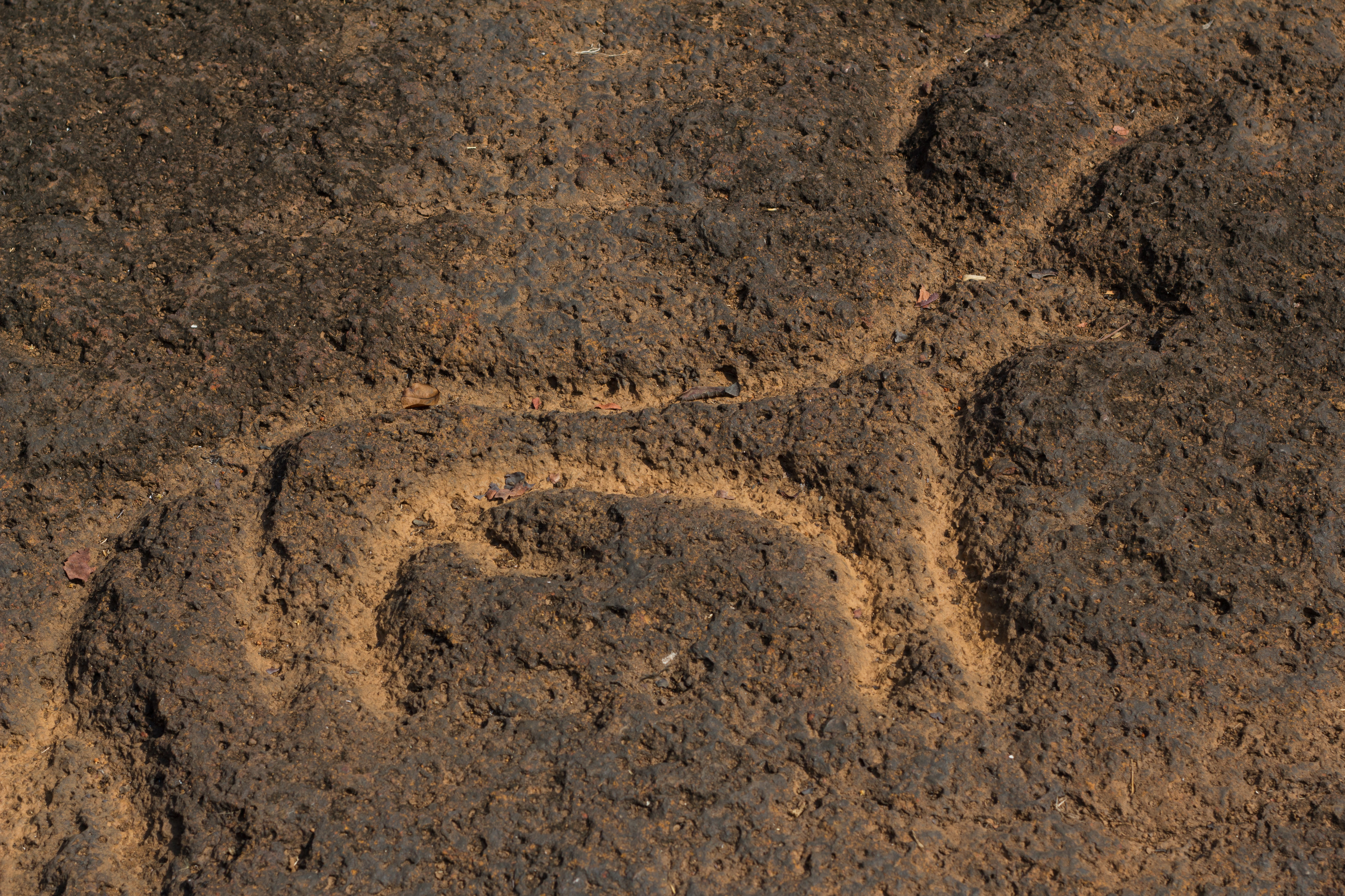 Prehistoric petroglyphs carved into laterite rock along the Kushawati River banks at Usgalimal, South Goa, estimated to be over 20,000 years old